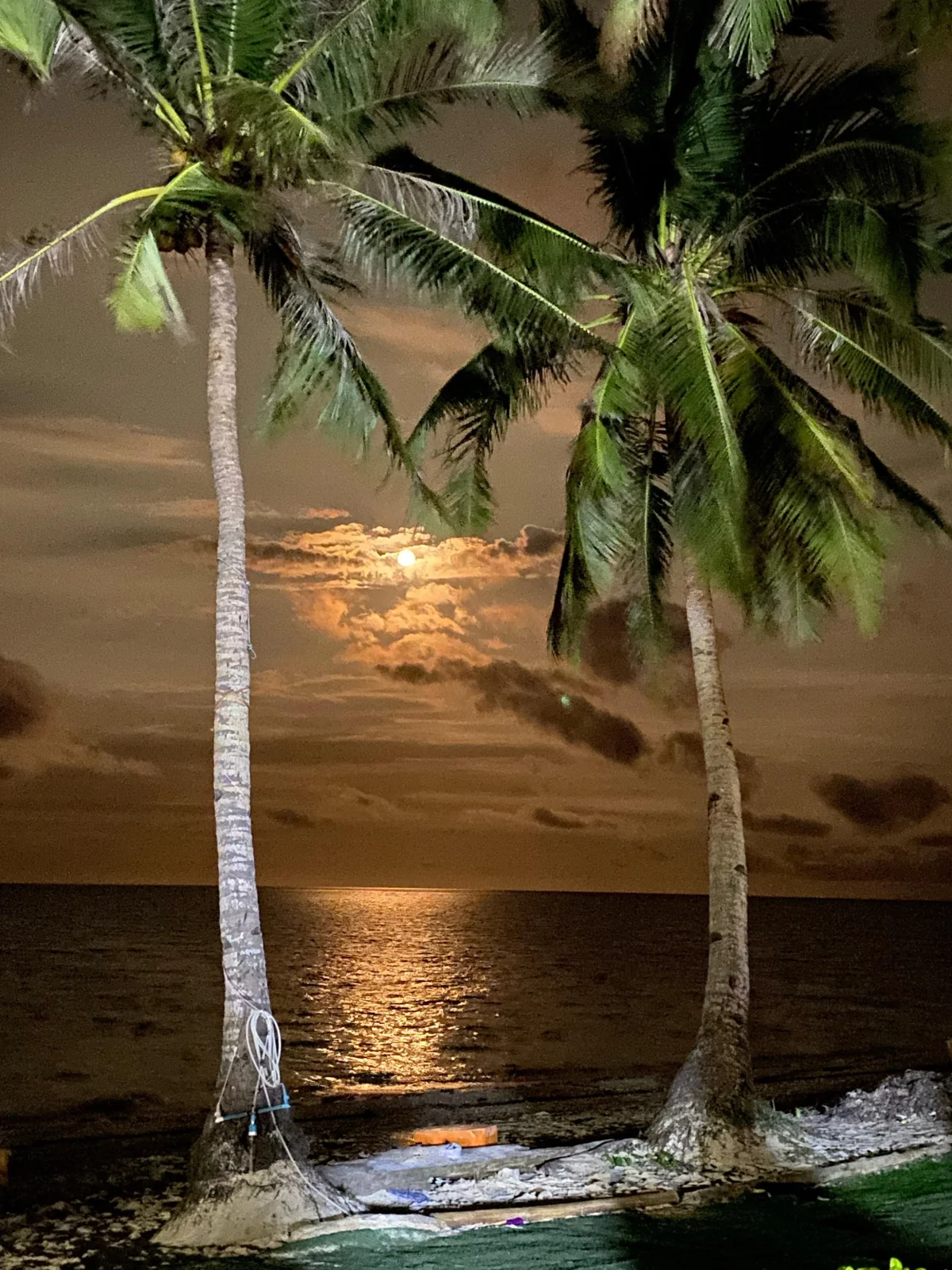Palm trees silhouetted against a golden Boracay sunset