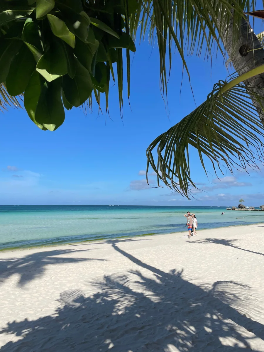 Palm fronds framing white sand and turquoise water in Boracay