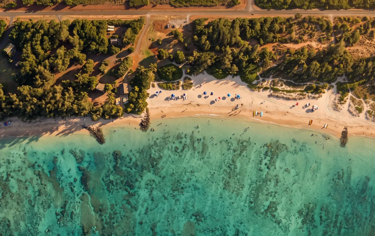 Aerial view of the beach and clear coastal water at Kanahā, Maui