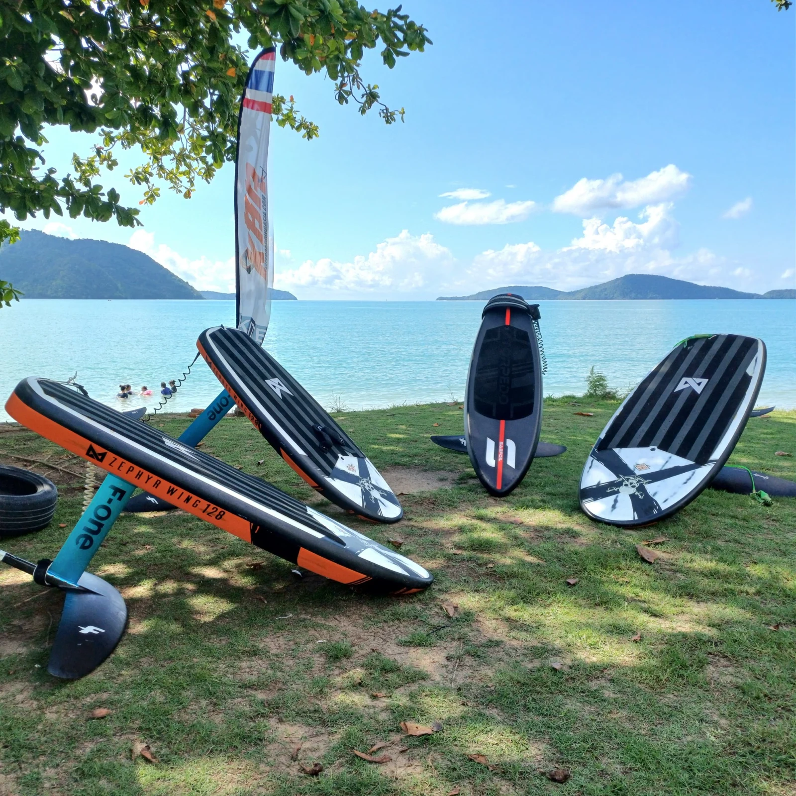 Wings and boards arranged beneath trees by the sea